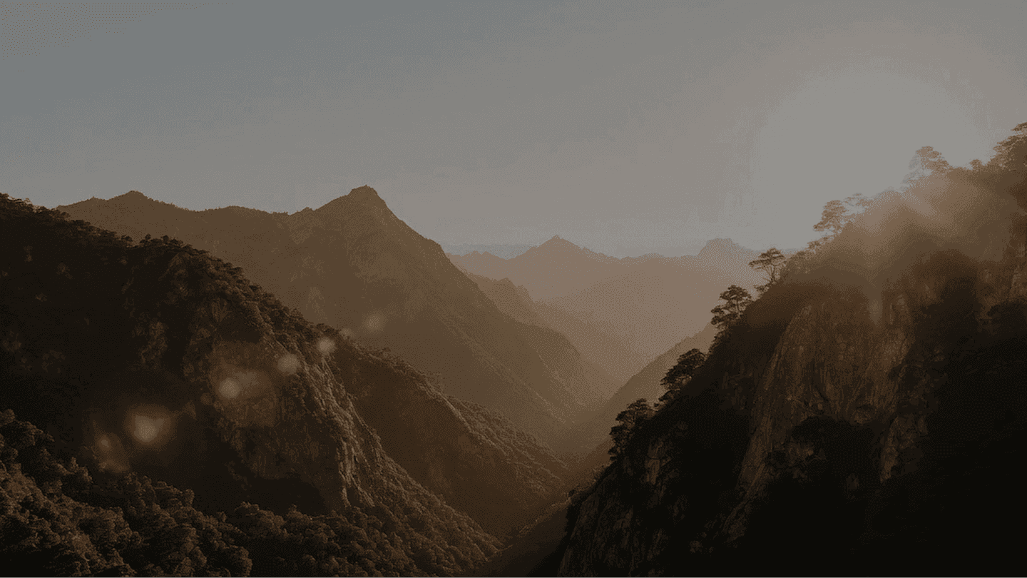 Image without alt